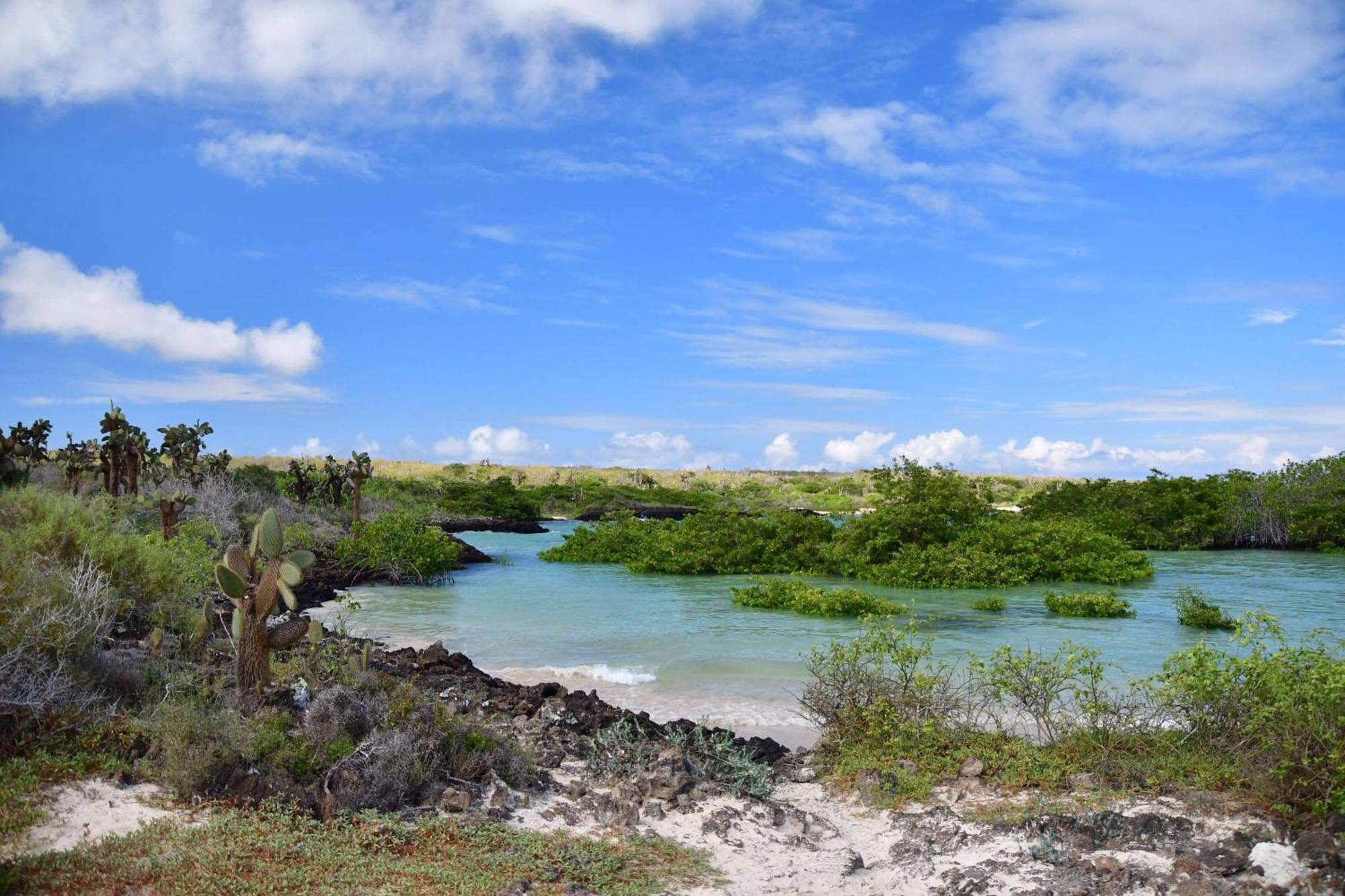 Royal Palm Galapagos, Curio Collection Hotel By Hilton Bellavista  Exterior photo