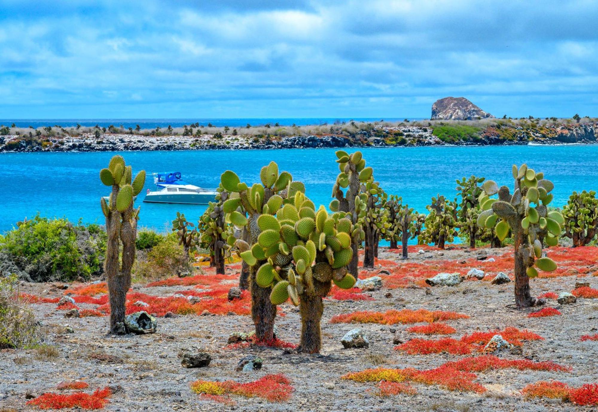 Royal Palm Galapagos, Curio Collection Hotel By Hilton Bellavista  Exterior photo